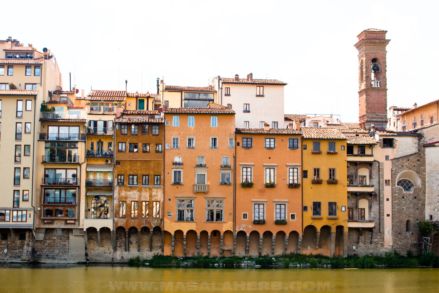 renaissance architecture in Florence