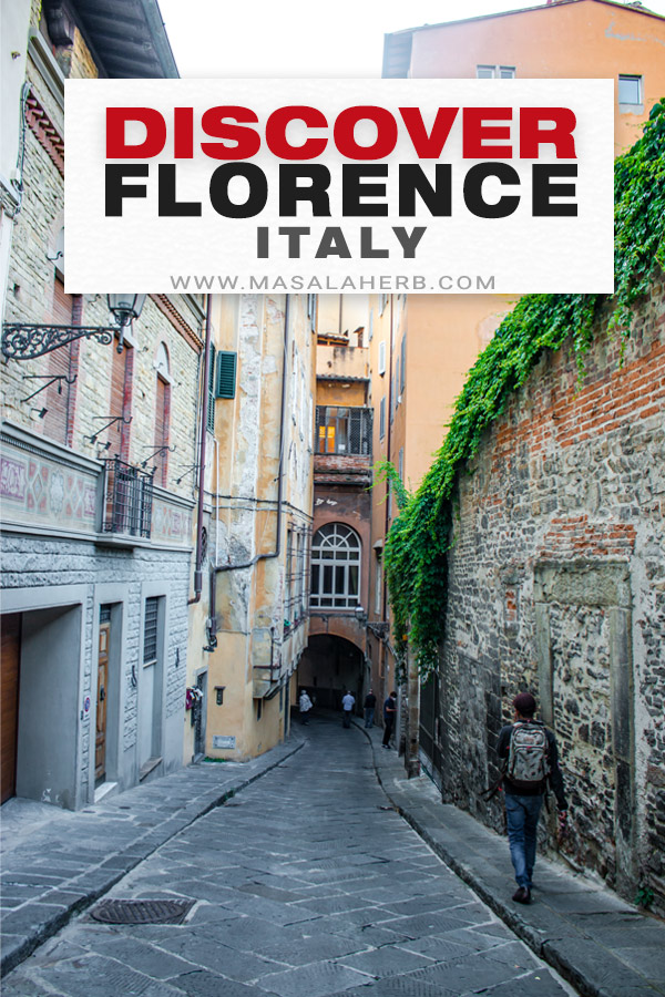 guide to Florence pin image