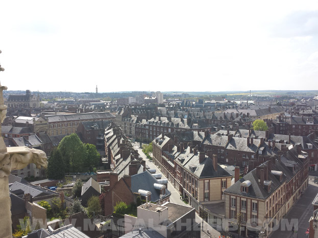 vie of the city from the cathedral tower