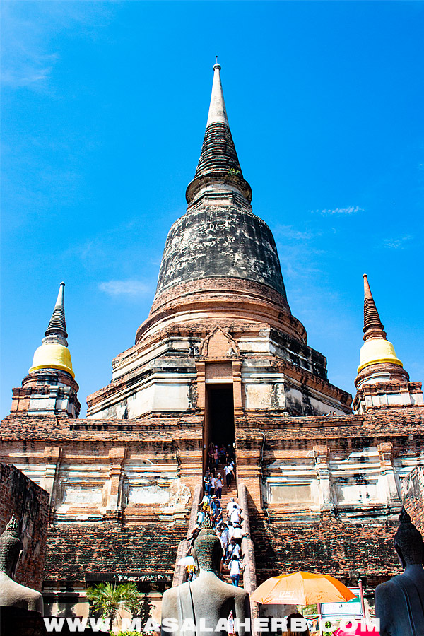 Ayutthaya Temples and tourists