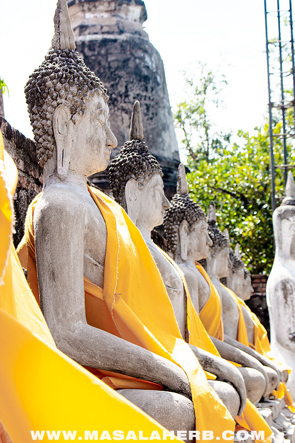 draped yellow buddha statues
