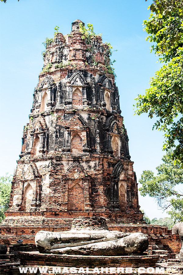 Ayutthaya Temple ruins