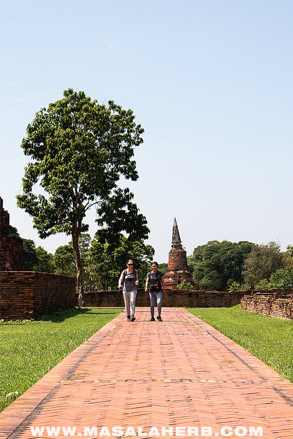 walking with ayutthaya guide
