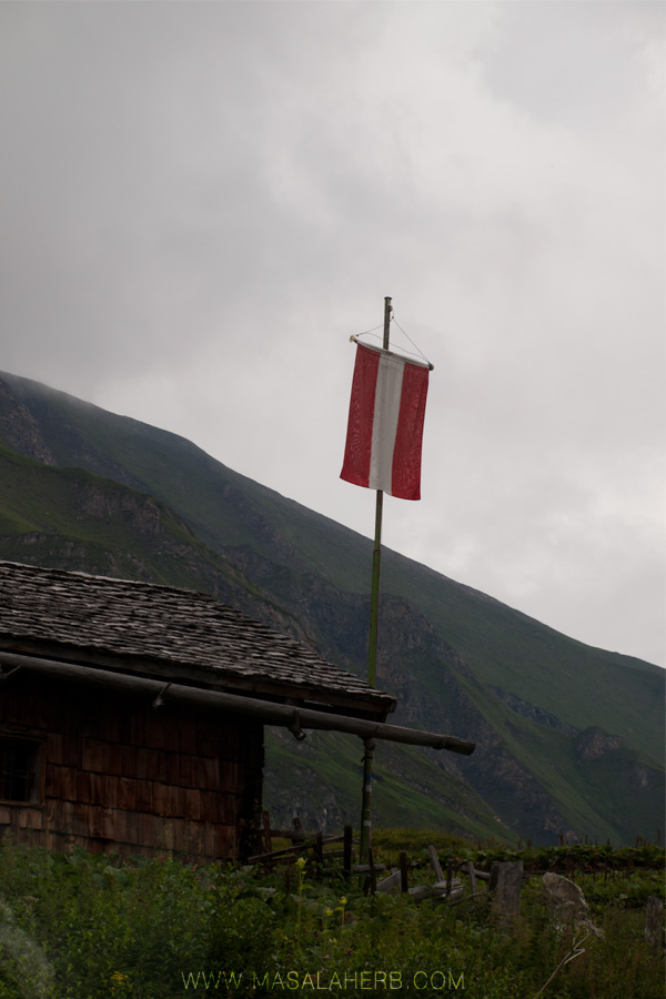 Austrian flag in the alps