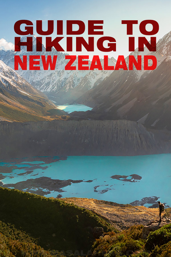 A Guide to Hiking in New Zealand image cover