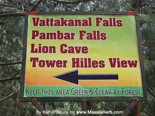 kodaikanal tamil nadu, vattakanal falls, pambar falls, lion cave, tower hill view south india www.masalaherb.com