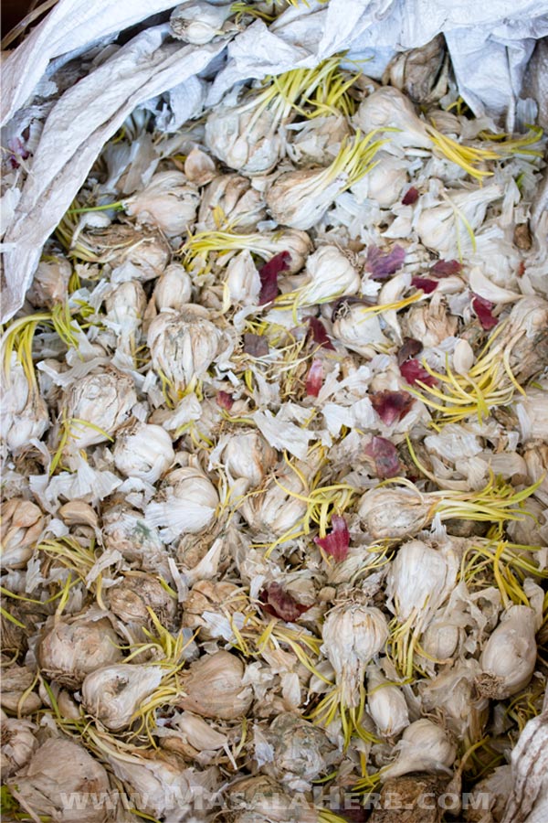 garlic stash in the Himalayan highlands