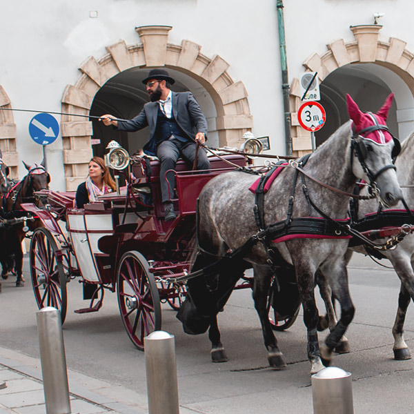 Fiaker Horse Carriage in Vienna