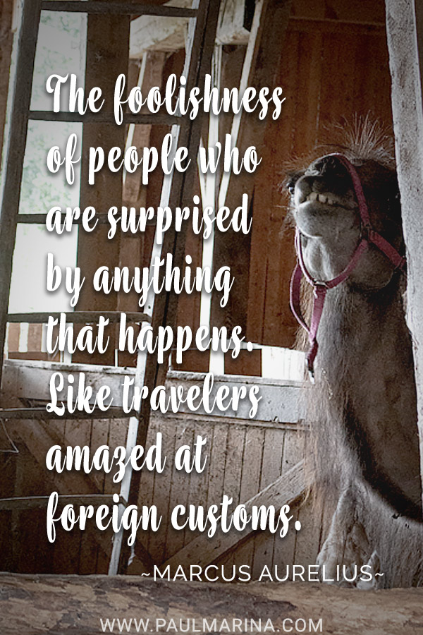 The foolishness of people who are surprised by anything that happens. Like travelers amazed at foreign customs.