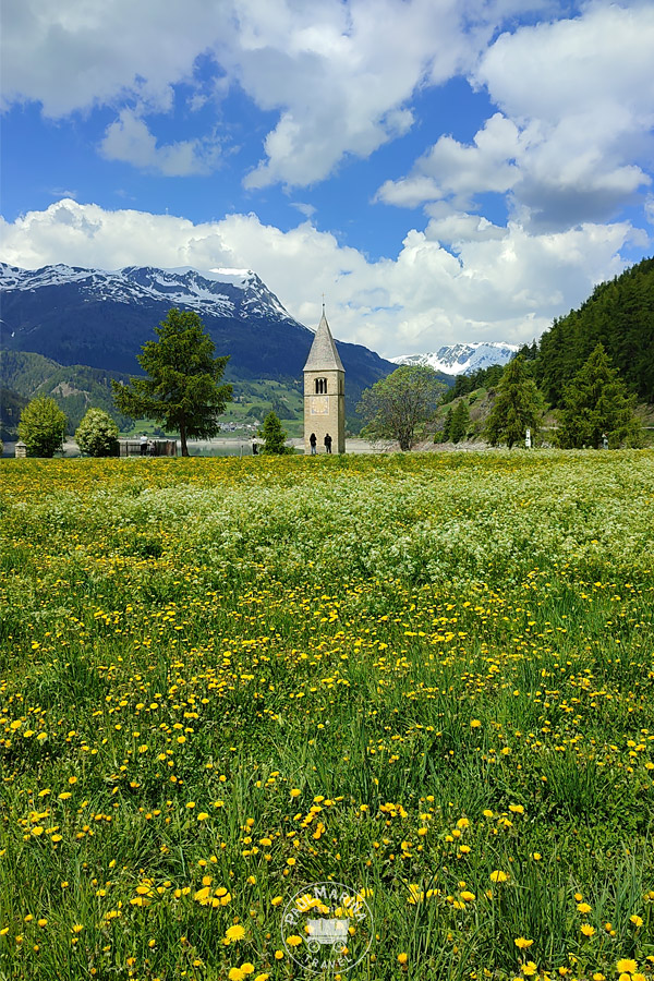 spring fields in south tyrol