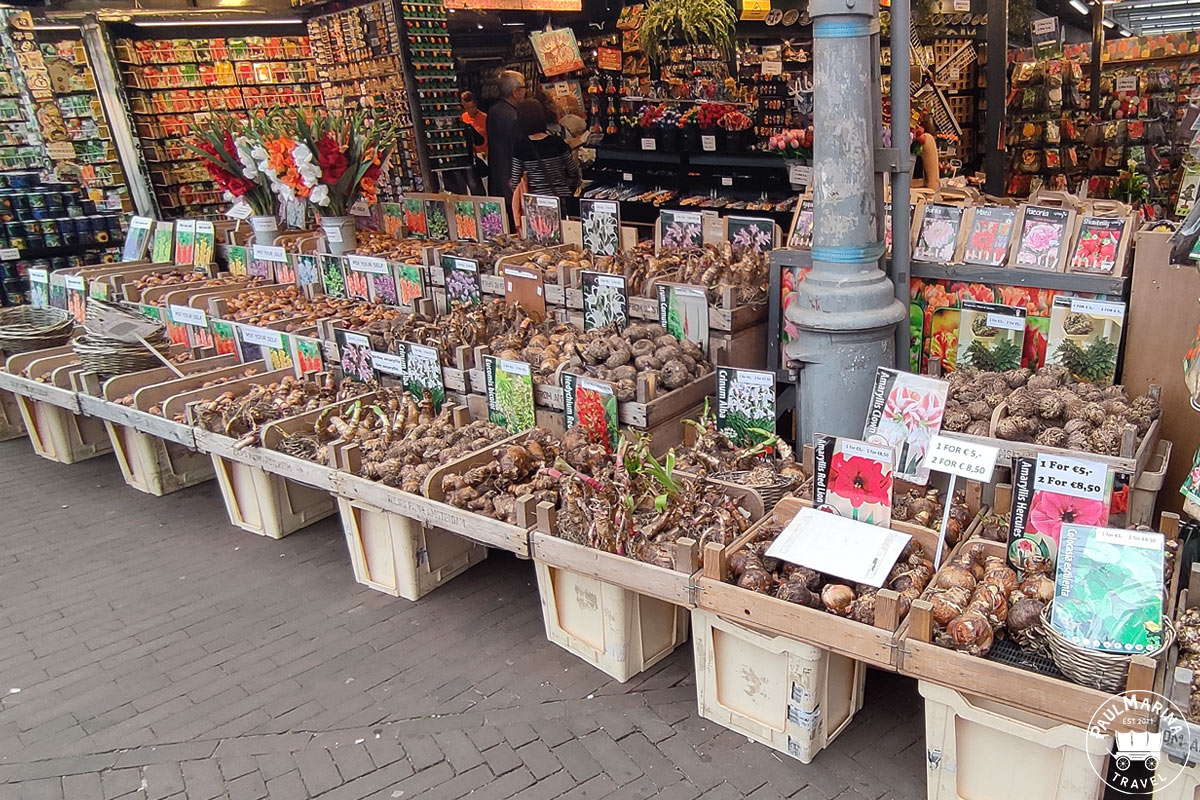 Various flower bulbs on display at the flower market Amsterdam
