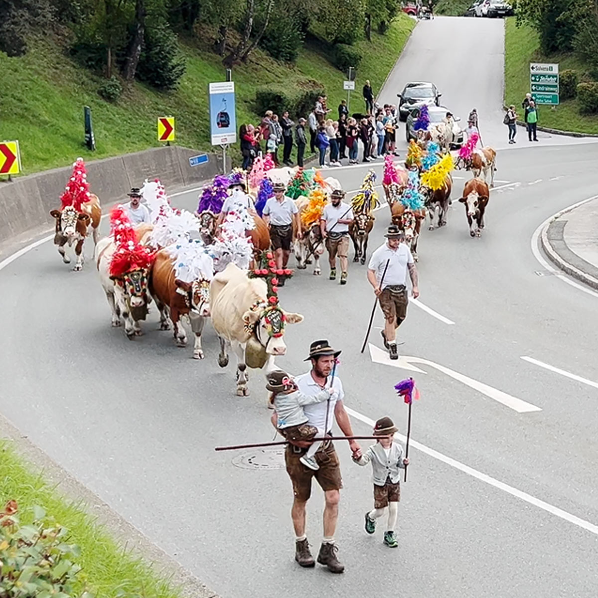 Almabtrieb: Experience Traditional Austrian Cattle Drive