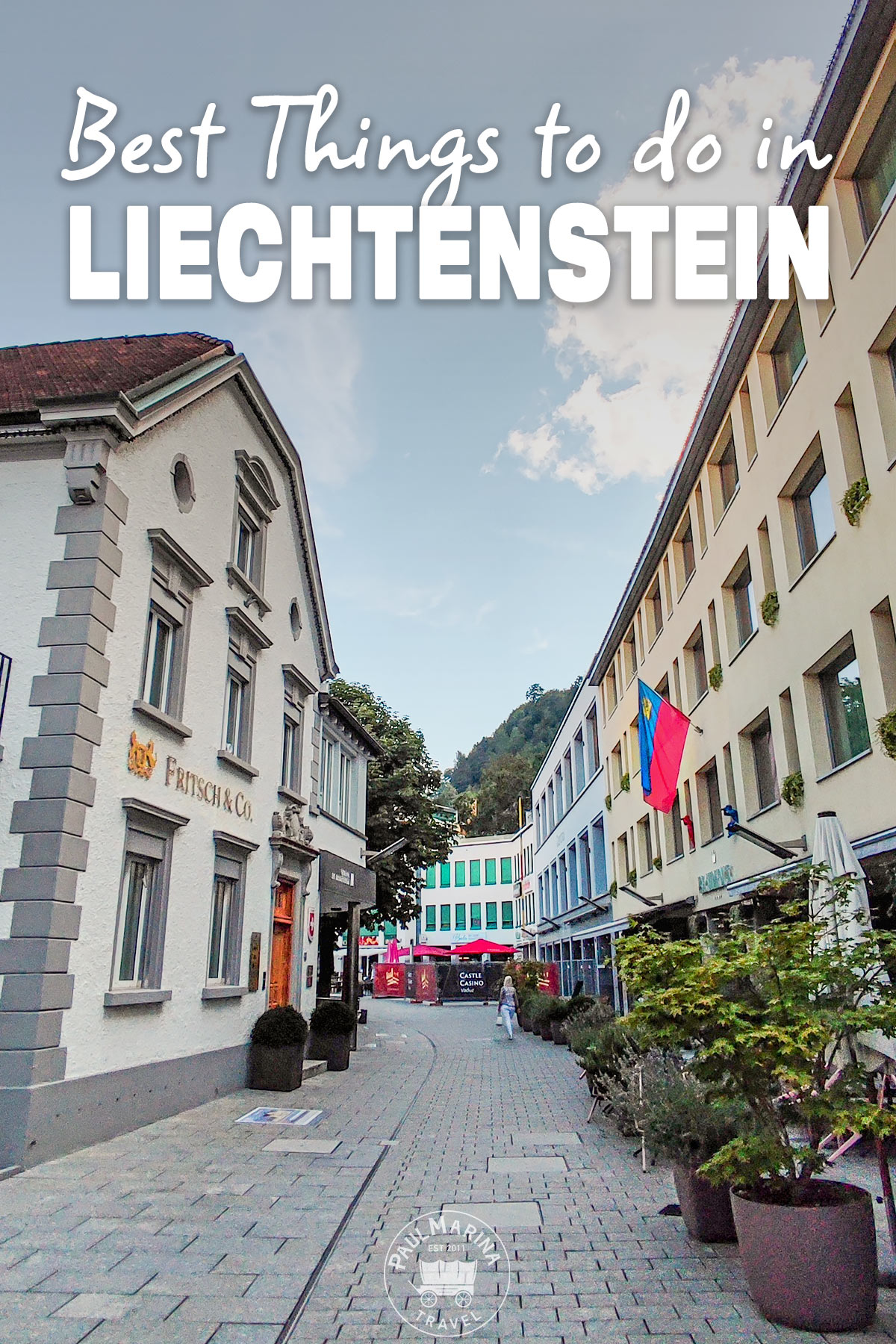 BEST Things to do in Liechtenstein pin cover