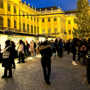 shopping at a christmas market in europe