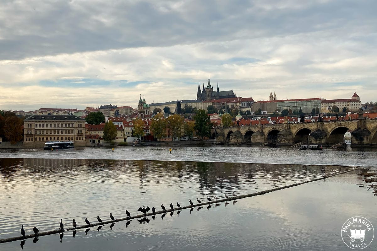 Prague castle view