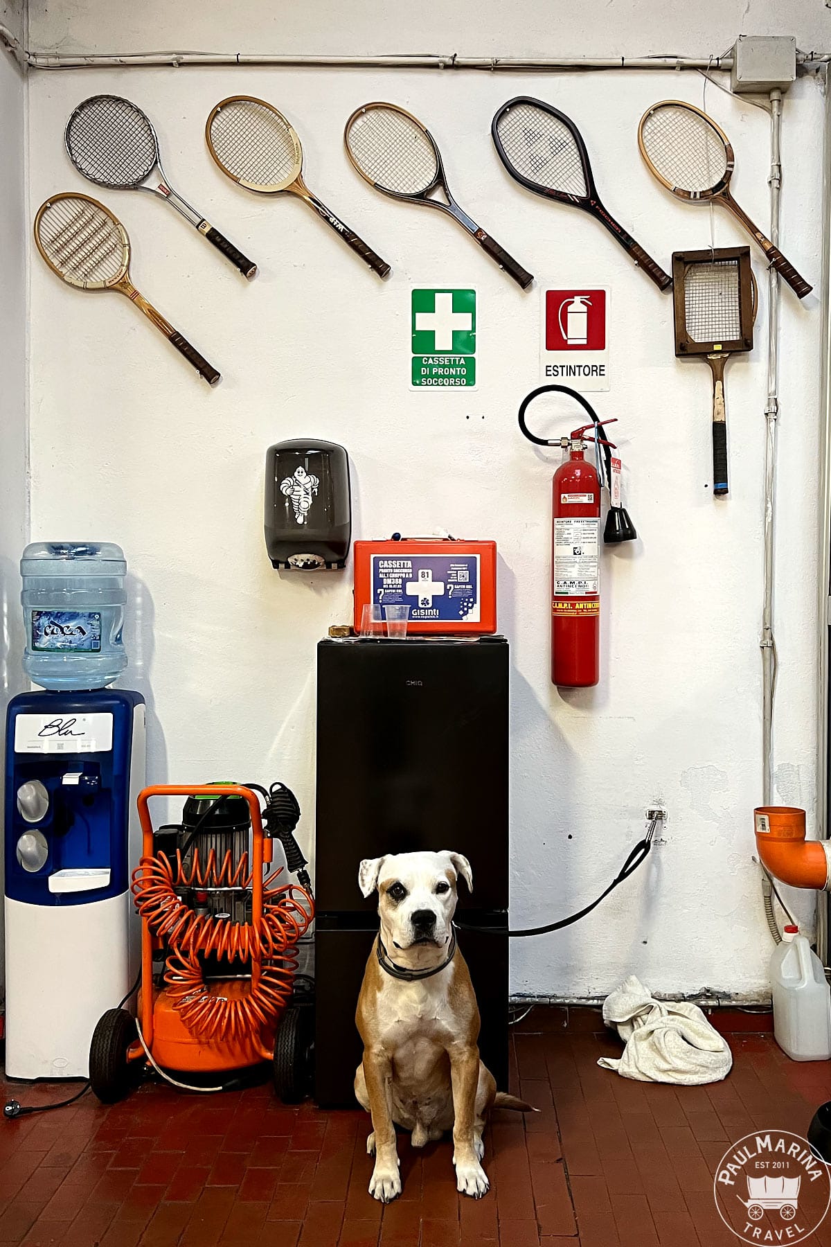 Good Doggie in the Italia Garage