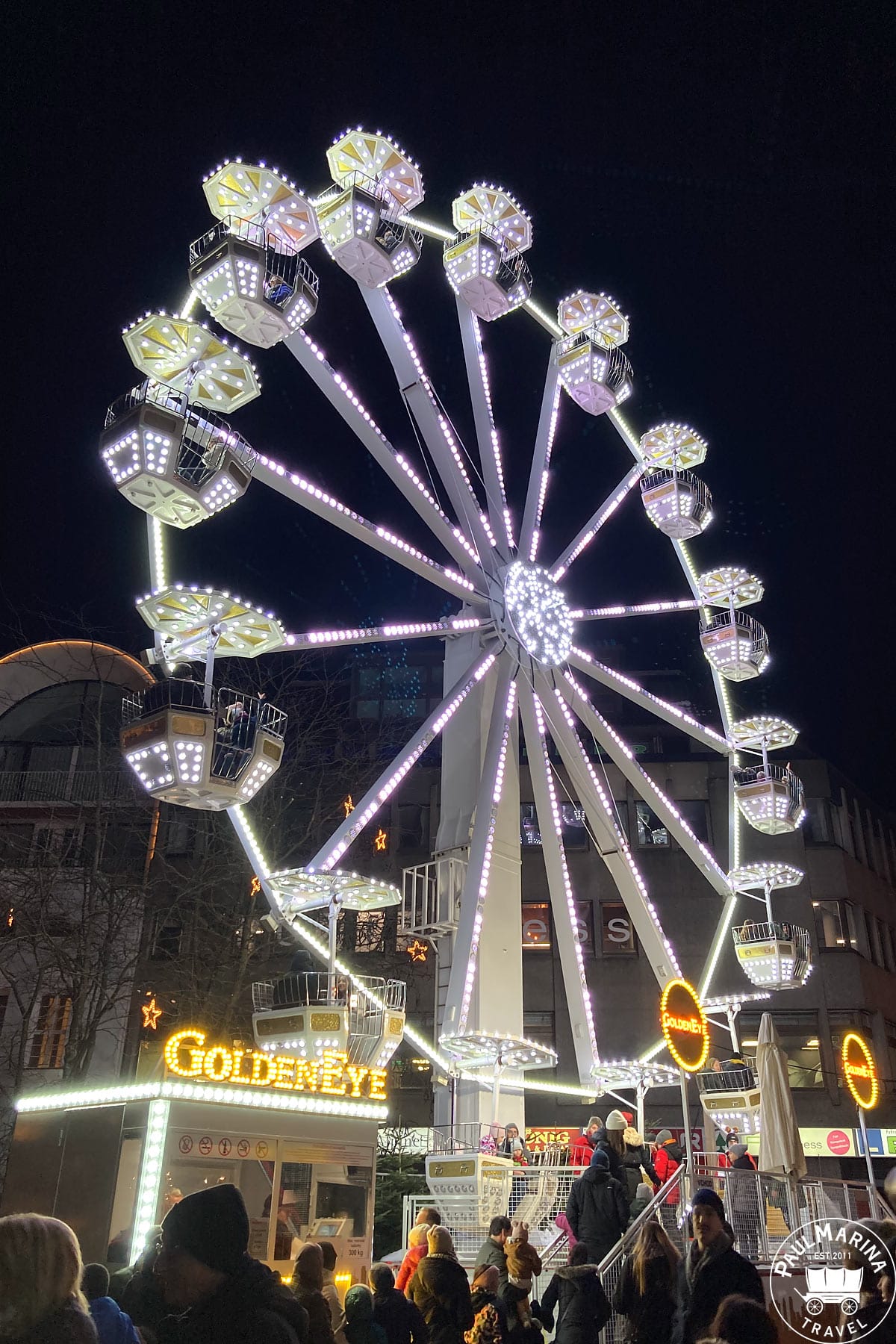 Bregenz christmas Goldeneye