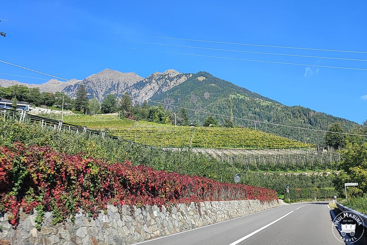 Vineyards in South Tyrol